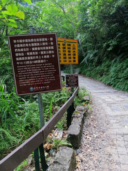 花蓮秀林~峻秀峽谷山水石壁畫~砂卡礑步道1039787