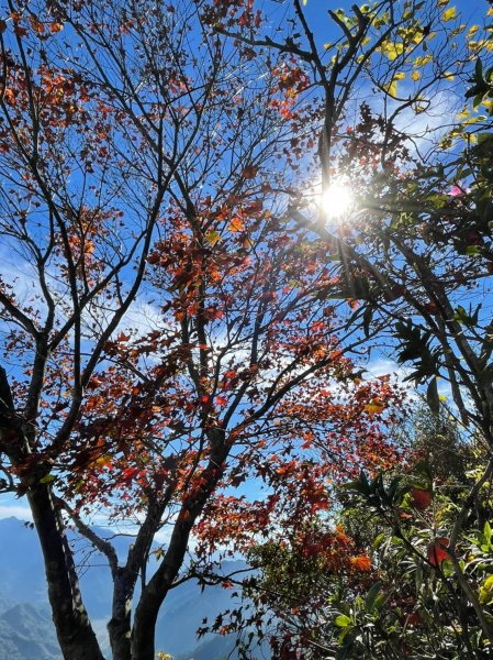 馬那邦山賞楓趣1549607