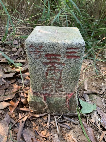 20251115高雄大坪頂2938115