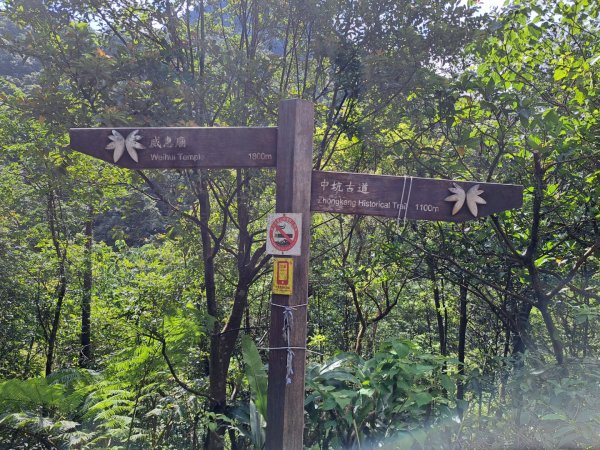 淡蘭中路第三，五段：威惠廟到外澳車站3105270