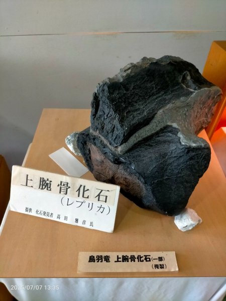 鳥羽真珠島2829344