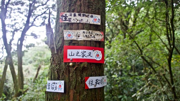 小觀音山群峰、大屯溪古道708060