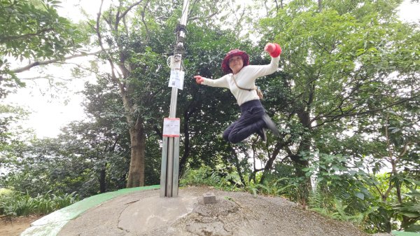 圓通寺烘爐地登山步道大O走3007112