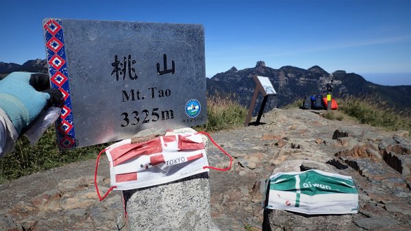 穿梭叢林桃山瞻仰巨木的殿堂桃山神木之行1656659