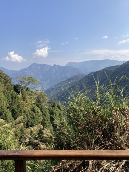 20260217月眉山+海鼠山+奮瑞古道3001647