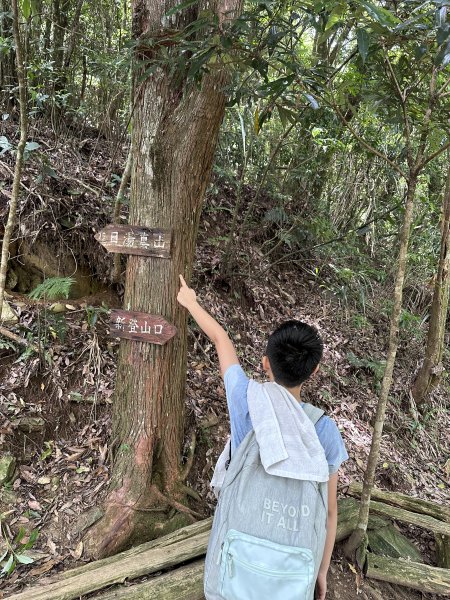 日湯真山P型快走2207325