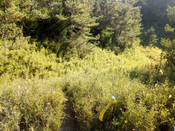 將軍廟上天鑾池+武法奈尾山1881031