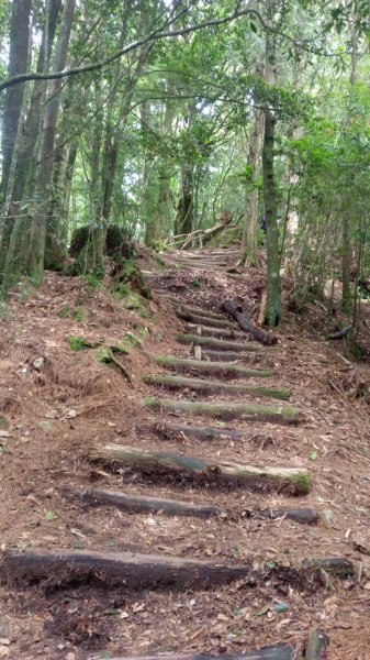 20220910稍來小雪山步道-鞍馬山支線1839360