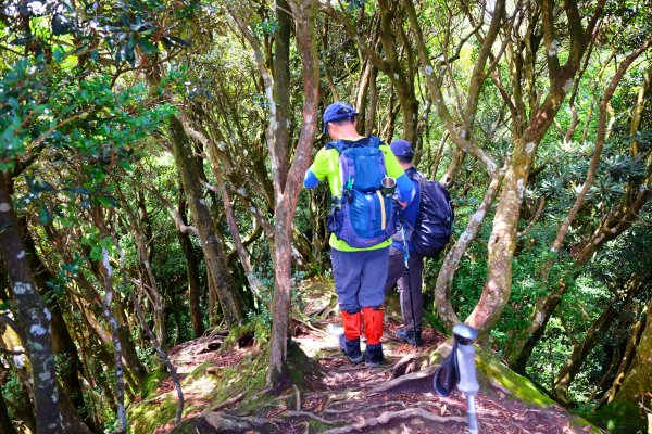 東滿步道登拉卡山1059427