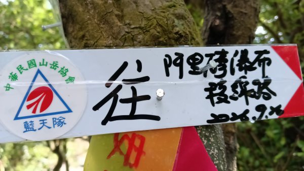 金山區倒照湖-阿里磅稜線路-阿里磅瀑布-竹子山古道-倒照湖47號P字走3134786