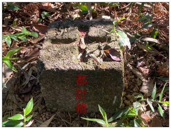 頭社山主峰及基點峰(社頭山)2681589