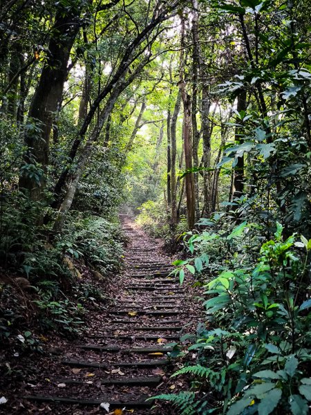 2025-04-27 三員縱走2772050