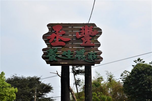 後棟仔山 & 雲嘉大尖山1378361
