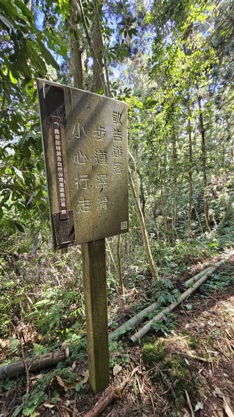 【四大天王山O型縱走未竟之旅：封山中的靜謐與省思】解鎖嘉義竹崎四大天王山、知鳥山。2929913