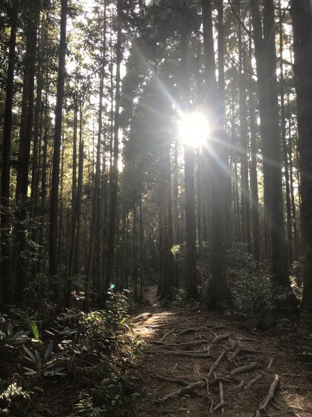 登山野營兩相宜~高島縱走1488846