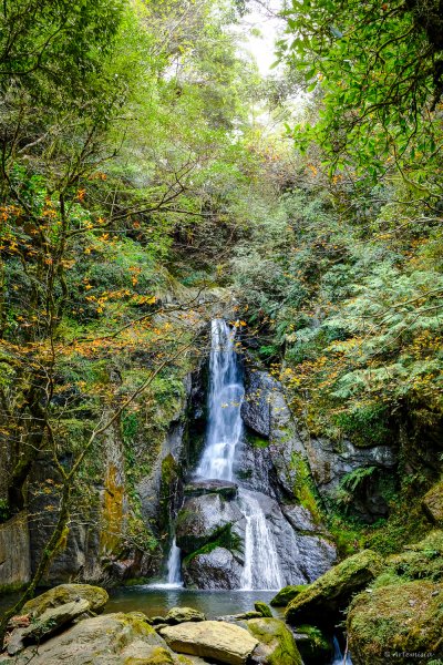 [冬訪大霸聖山岳參行]-大鹿林道東線榆金楓紅與九九山莊精選輯2974632