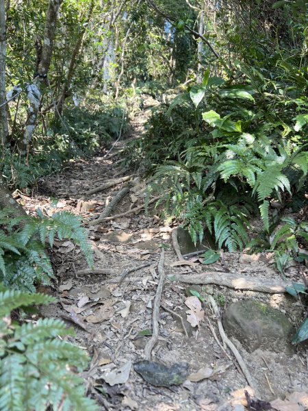 小百岳-暗影山2723507