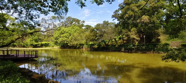角板山公園步道-2026/08/023097928