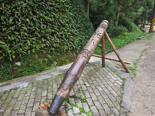 馬武督探索森林、外鳥嘴山2860595