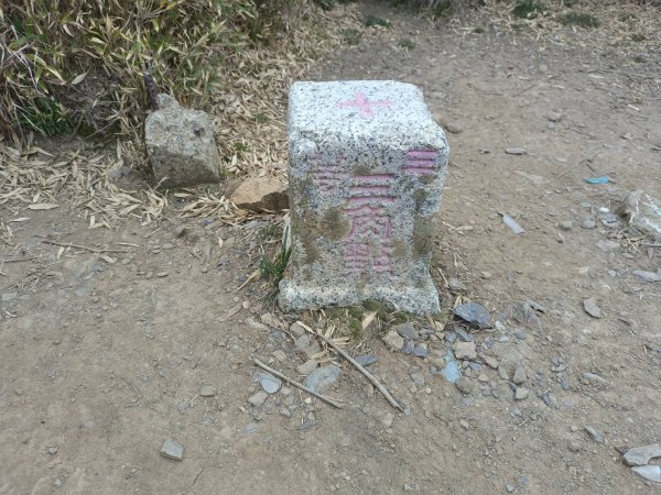 20250420南投瀧奧、奇萊尖山、合歡八連峰2768498