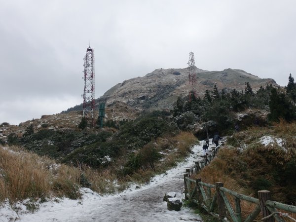 獨自勇敢。陽明山追雪成功1233780