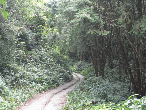 涼爽避暑的日湯真山1031646