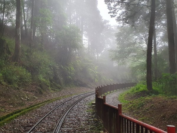 對高岳步道1053526