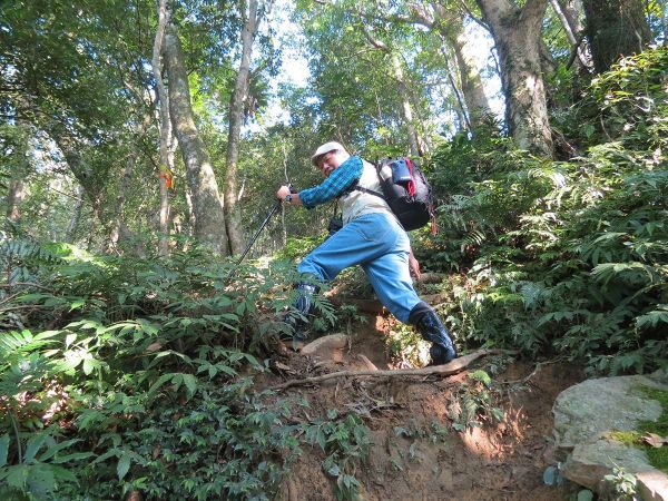 拔刀爾山...美鹿山南峰原路來回185338