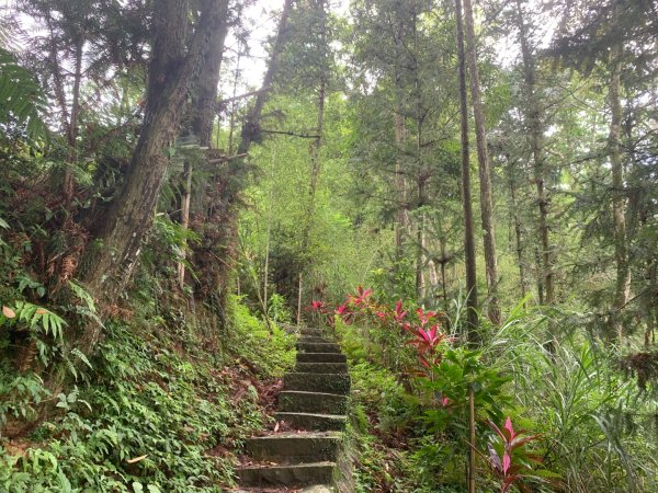 大崎棟古道、騎龍古道2772312