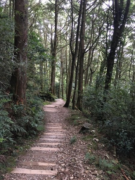 大雪山稍來南峰434697