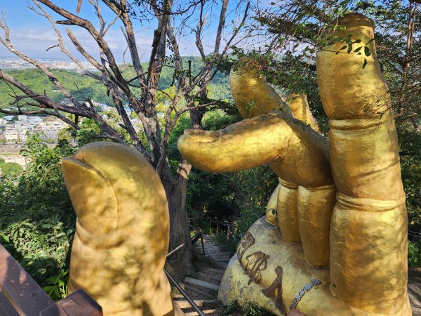 小百岳No.42⛰南觀音山2924878