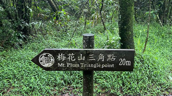 大縱走第4段3053232