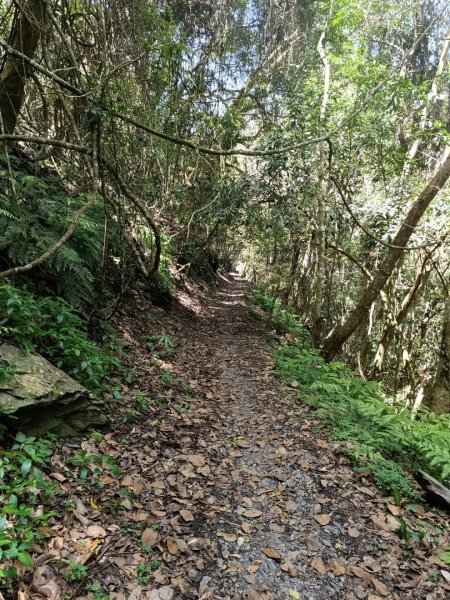 霞喀囉步道2761334