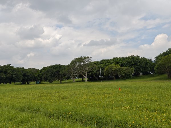 [跟著2025雙北世壯運探索雙北市-1/21] 2025_0607 飛盤競技道（華江雁鴨河濱步道）2807794