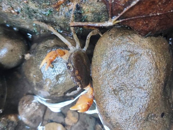 三貂嶺瀑布百大任務解鎖2957923