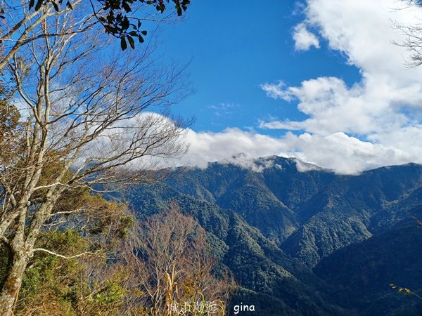 【苗栗泰安】中級山的大霸尖山。 虎山步道