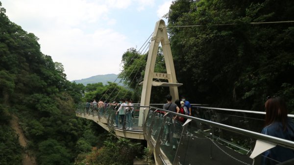 小烏來天空步道2029841