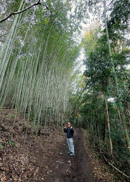 熱血一日霞喀羅賞楓之旅2784988