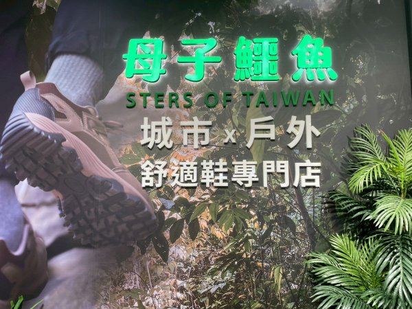 【品牌活動】母子鱷魚蘆洲旗艦店開幕，40週年全新機能鞋空間亮相