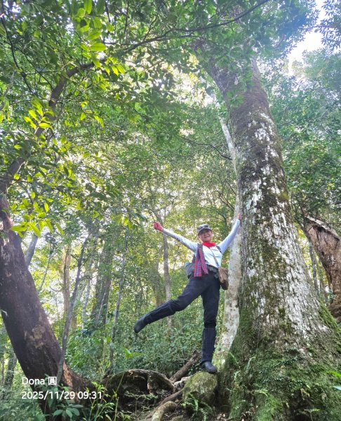 逆走逐鹿卡保環型路線全段全紀錄2949847