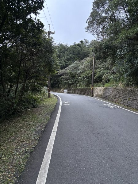 陽明山東西大縱走-東段2984508