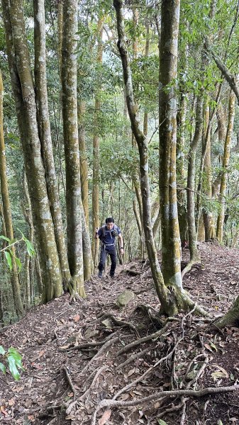 崩潰陡上的水雲三星～鳥嘴山（上島山）2095298