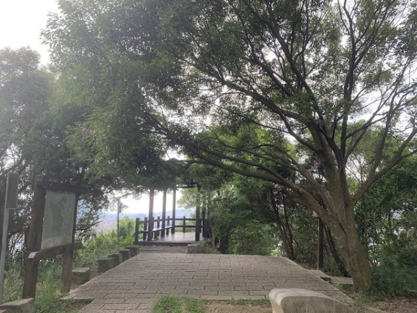 虎山親山步道、南港公園