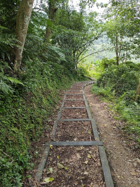 臺北大縱走第七段 世界山莊至飛龍步道政大後山2753463