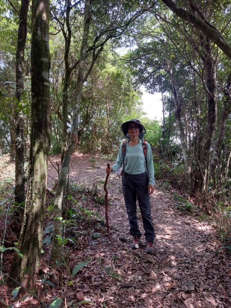 志繼山東眼山O型走202207161792403