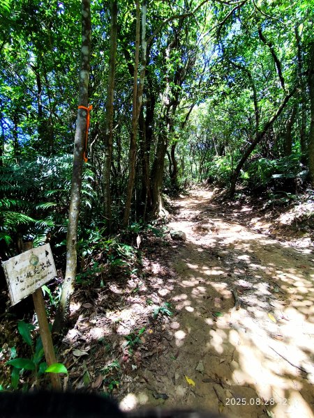【臺北大縱走 4】大崙頭山北面步道→五指山古道→雙溪溝古道2874382