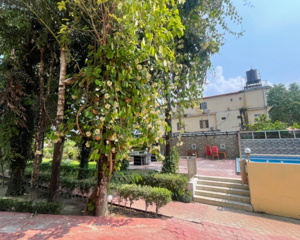 尼泊爾奇旺國家公園4天三夜2788919