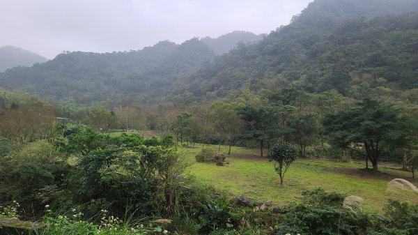 2025-01232淡蘭古道北二段(燦光寮古道到澳底)2696544