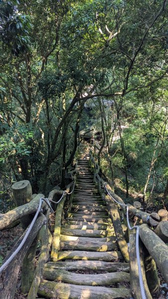 【台灣健行】台中大坑 5-1、5 頭嵙山2874068