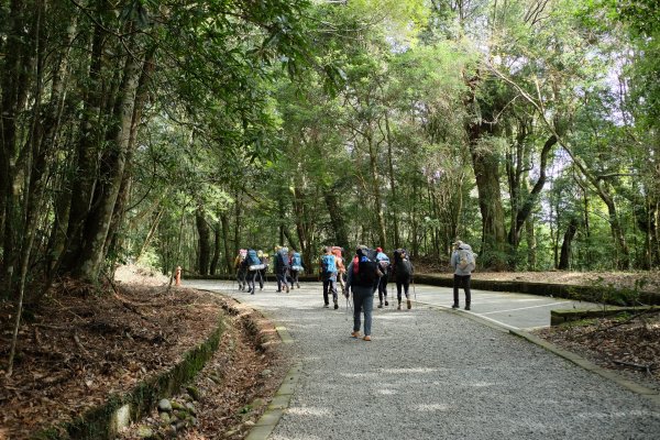 苗栗泰安 | 雪見‧初探北坑溪古道2700057